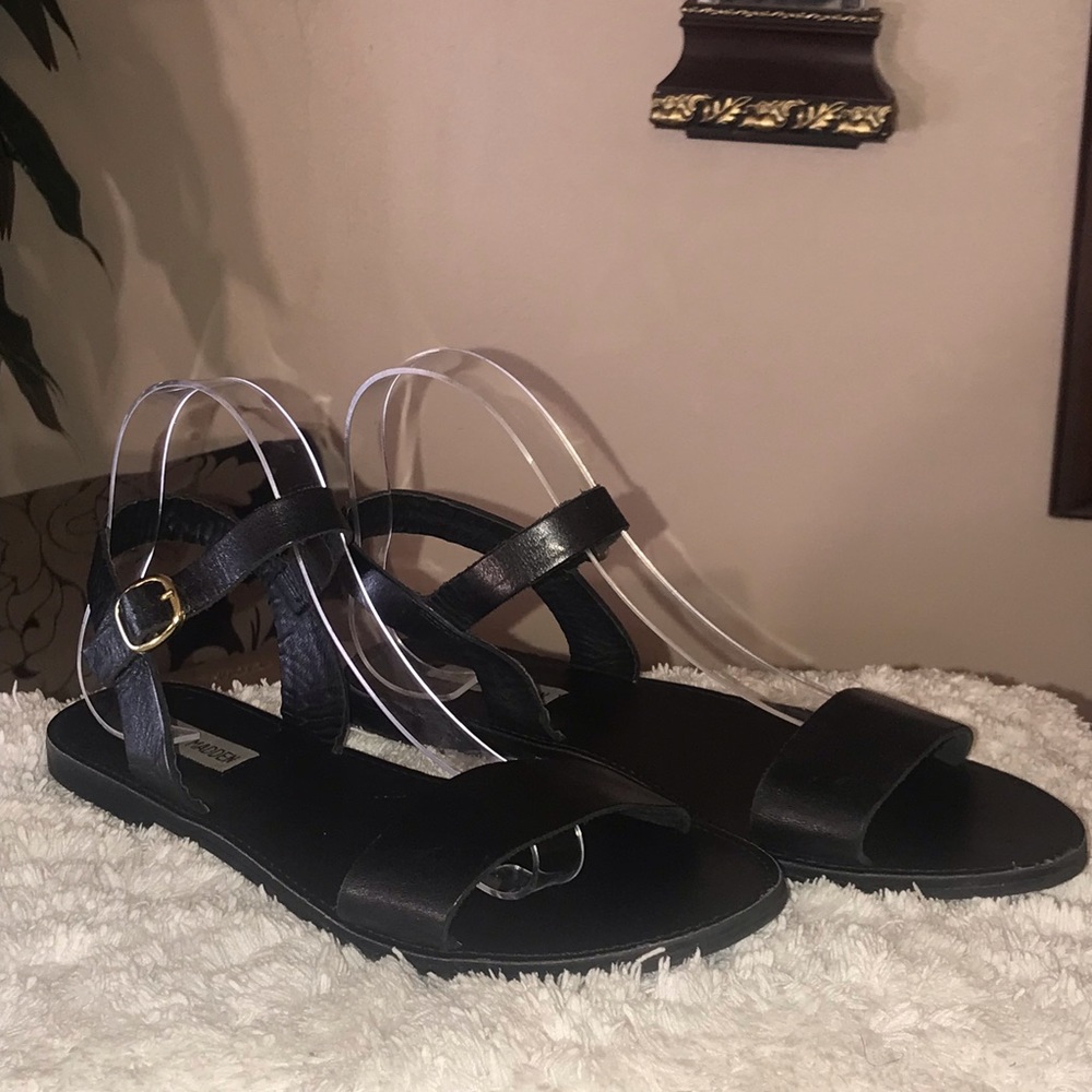 Steve madden